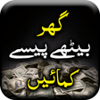 How to Earn Money - Urdu Book icon